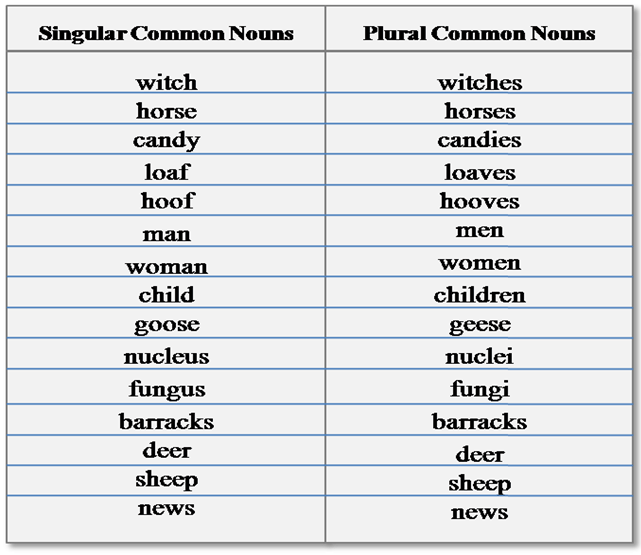 singular plural of common noun