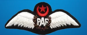 Insignia in Pak Army Pak Navy and PAF PAF GDP Insignia