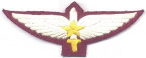 commando insignia 2