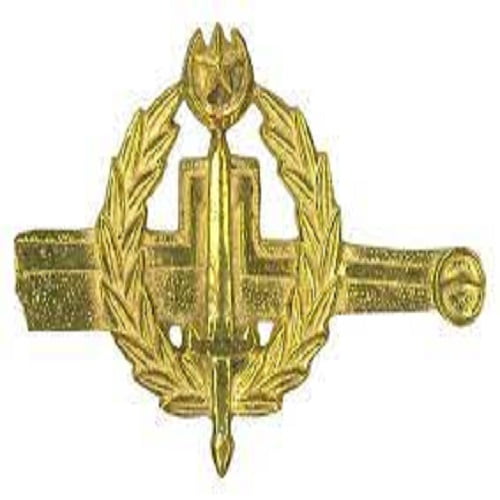 what is insignia